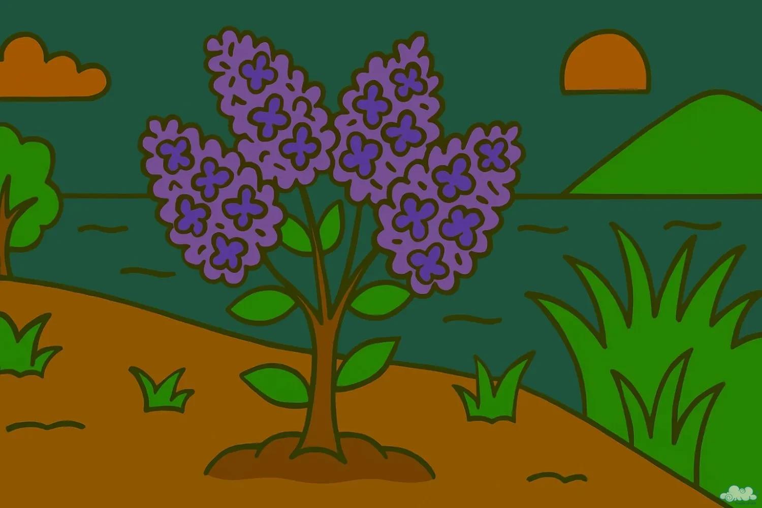 Sự tích hoa Tử Đinh Hương Ba Tư Bông hoa Tử Đinh Hương tím – Biểu tượng của tình yêu vĩnh cửu trong truyện cổ tích Ba Tư